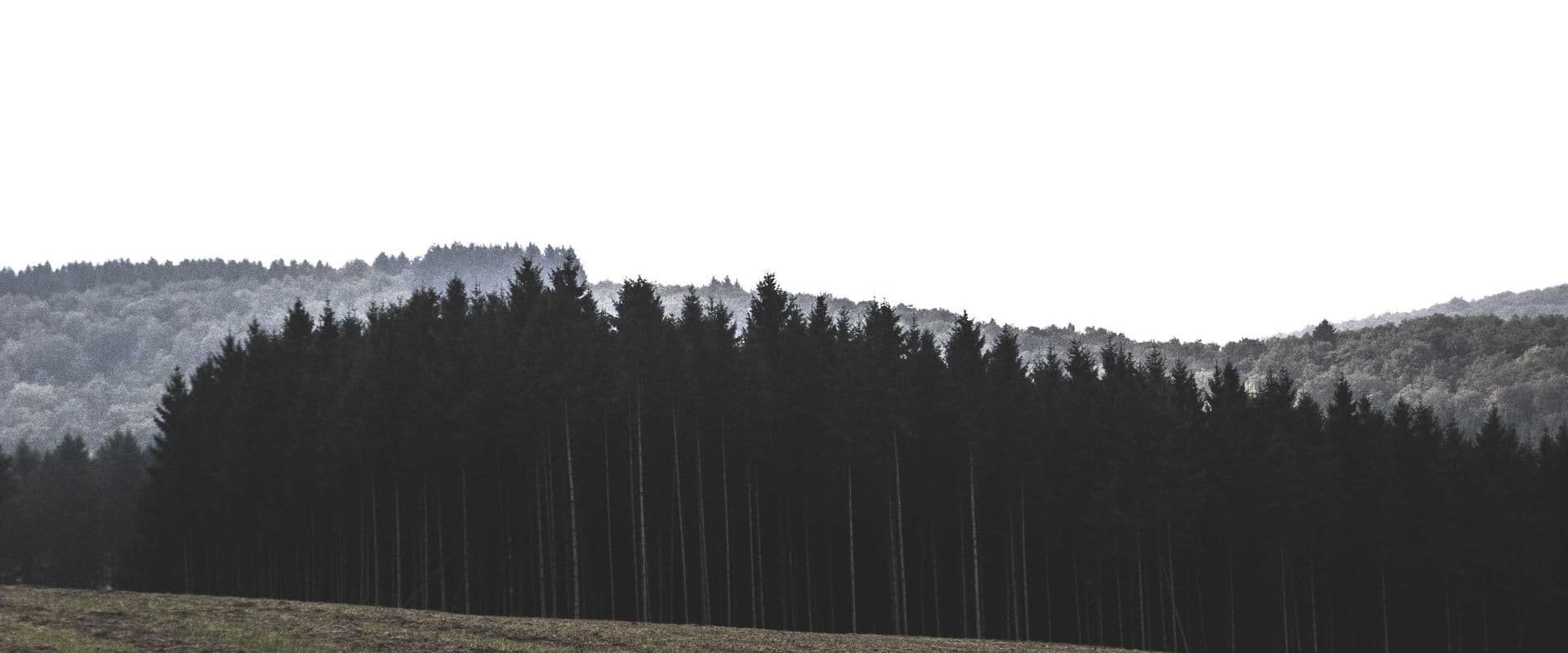 https://bucket.mmb.staging.evoli.sk/strapi-uploads/5_jpg_8e2b58c462.jpeg