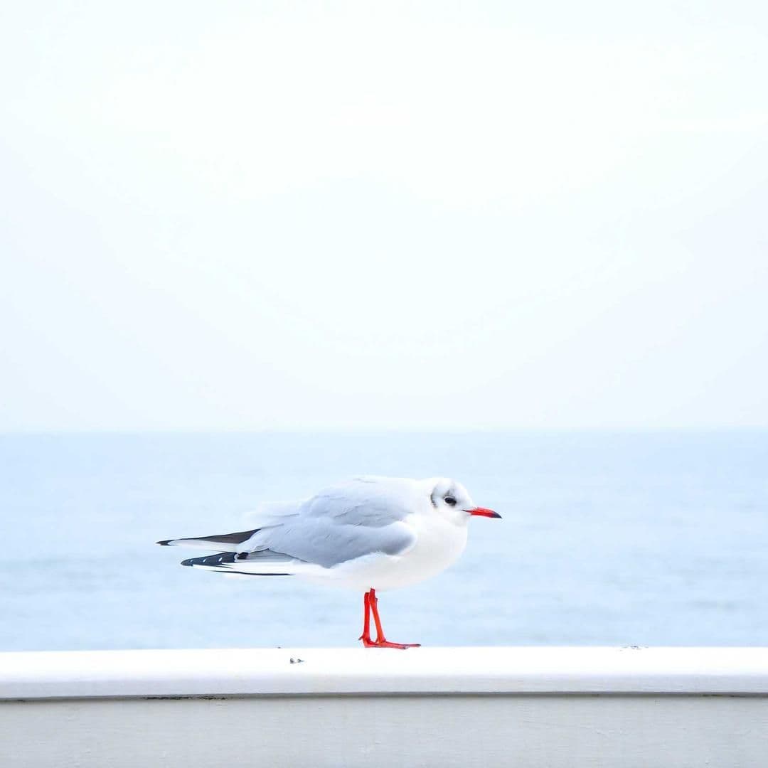 https://bucket.mmb.staging.evoli.sk/strapi-uploads/1080_66af958725.jpeg