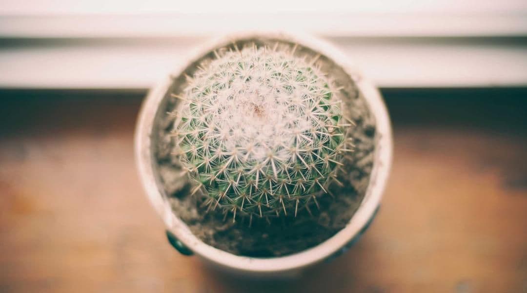 https://bucket.mmb.staging.evoli.sk/strapi-uploads/7_jpg_7b7816ca87.jpeg